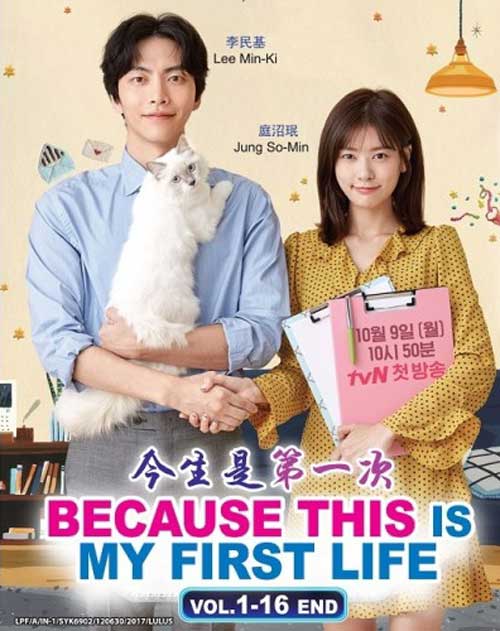 Because This Is My First Life (DVD) Korean TV Drama (2017 ...