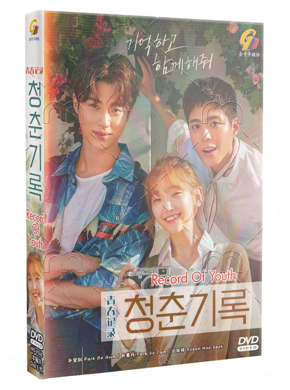 青春紀錄 (DVD) (2020) 韓劇