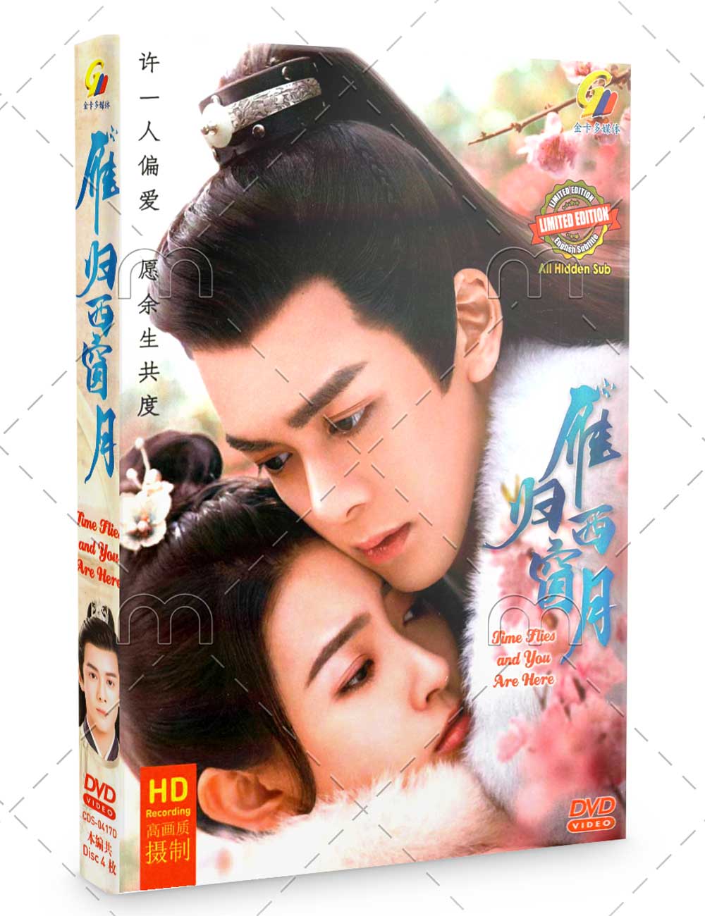 Time Flies and You are Here (DVD) (2021) China TV Series