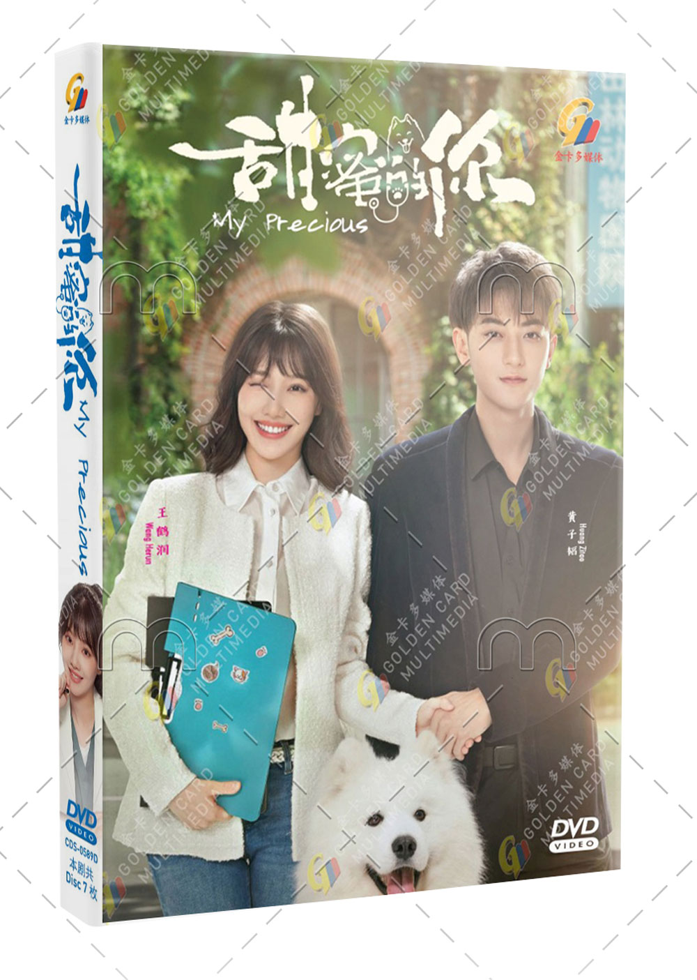 甜蜜的你 (DVD) (2023) 大陸劇