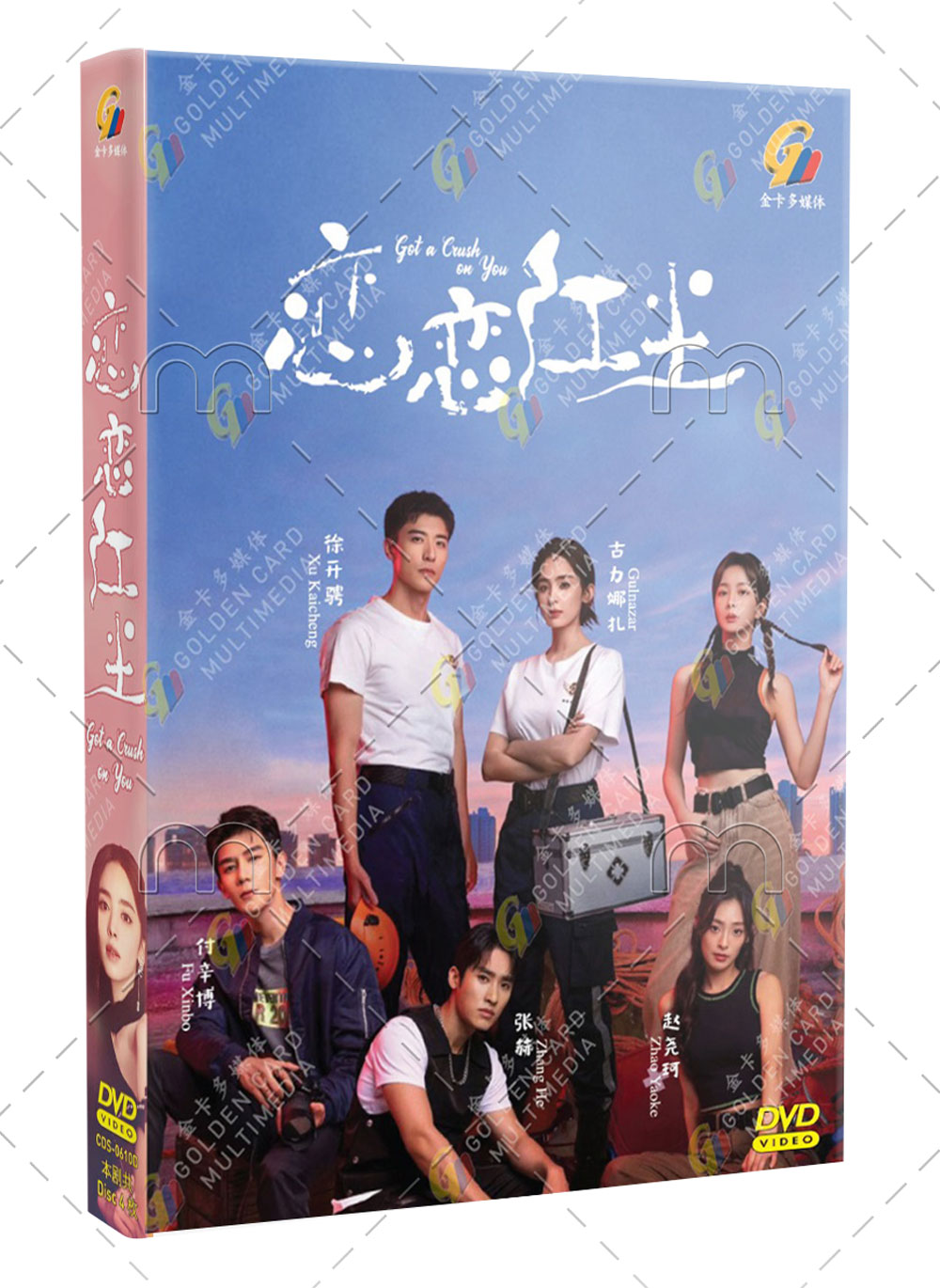 Got a Crush on You (DVD) (2023) 中国TVドラマ