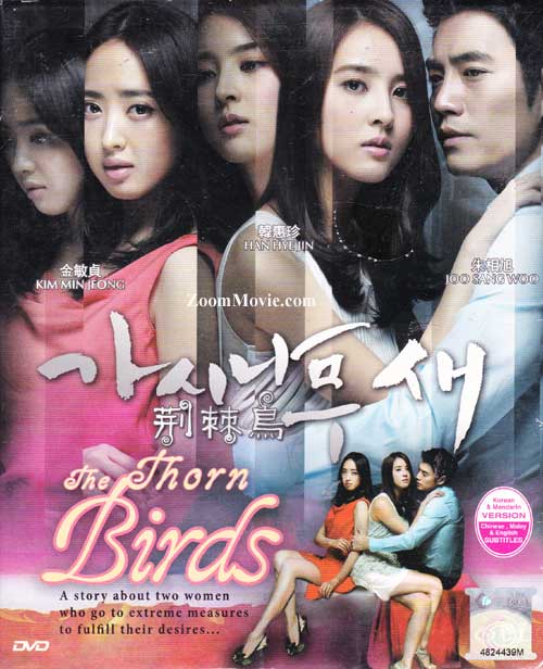 荆棘鸟 (DVD) (2011) 韩剧