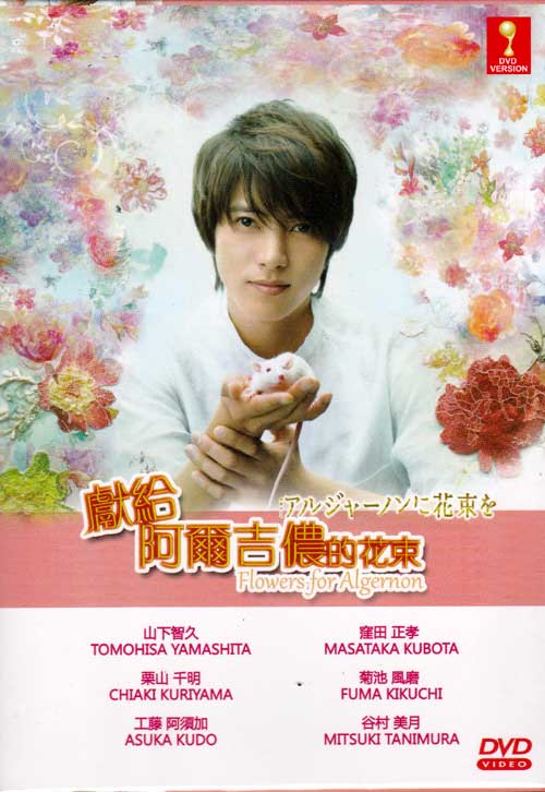 Flowers For Algernon (DVD) (2015) Japanese TV Series