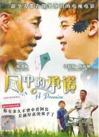 A Promise Malaysia Movie DVDs
