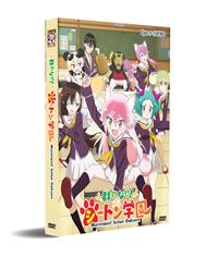 Seton Academy: Join the Pack! (DVD) (2020) Anime