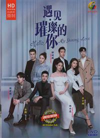 Hello My Shining Love (DVD) (2022) China TV Series