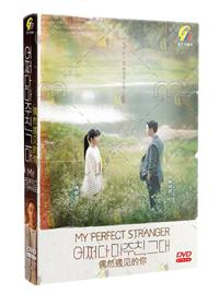 My Perfect Stranger (DVD) (2023) Korean TV Series
