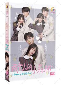 Special Lady (DVD) (2023) 中国TVドラマ