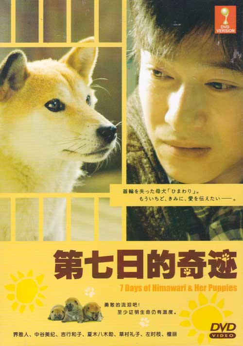 7 Days of Himawari & Her Puppies (DVD) (2013) Japanese Movie