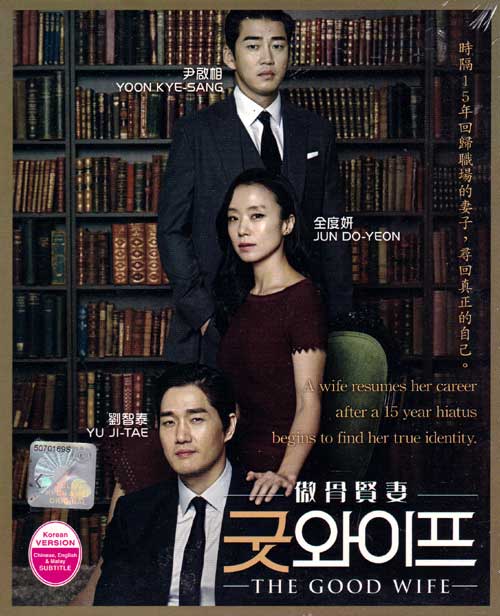 The Good Wife (DVD) (2016) 韓国TVドラマ