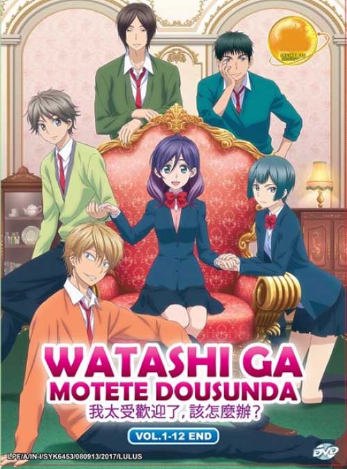 Watashi ga Motete Dousunda (DVD) (2016) Anime