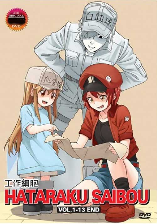 HATARAKU SAIBOU : KAZE SHOUKOUGUN - COMPLETE ANIME MOVIE DVD BOX