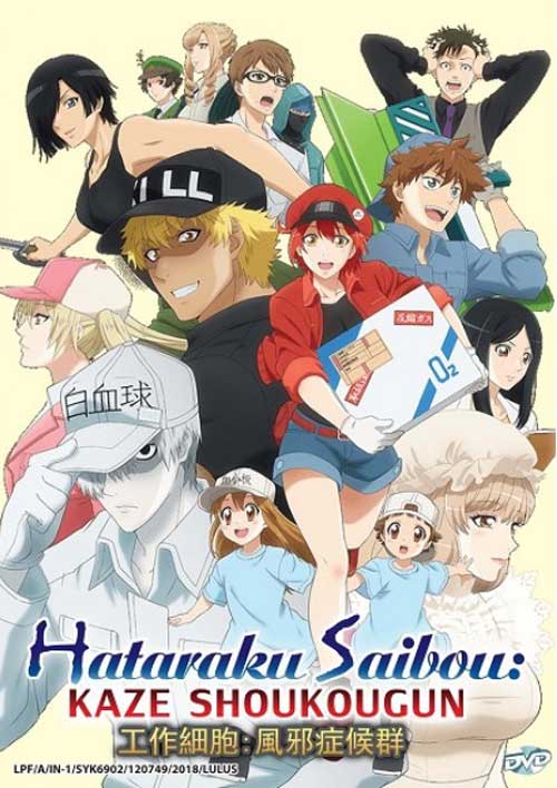 Hataraku Saibou: Kaze Shoukougun (DVD) (2018) Anime