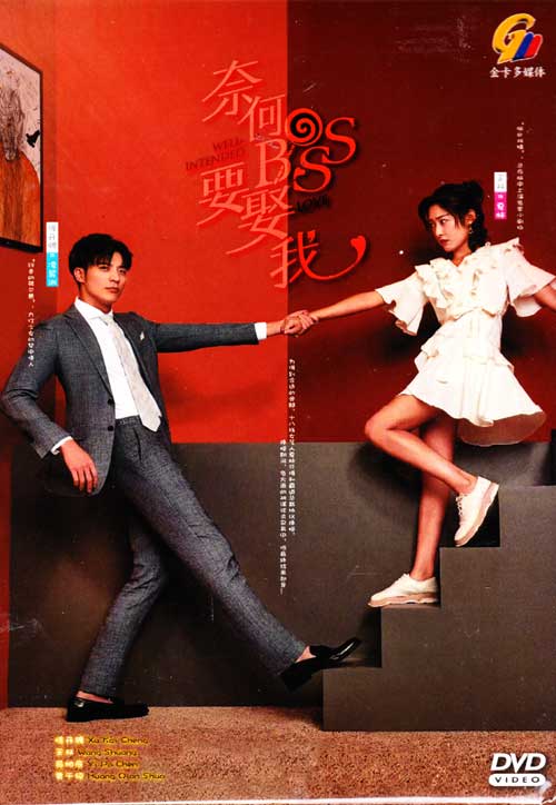 Well Intended Love (DVD) (2019) 中国TVドラマ
