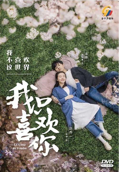 Le Coup de Foudre (DVD) (2019) China TV Series