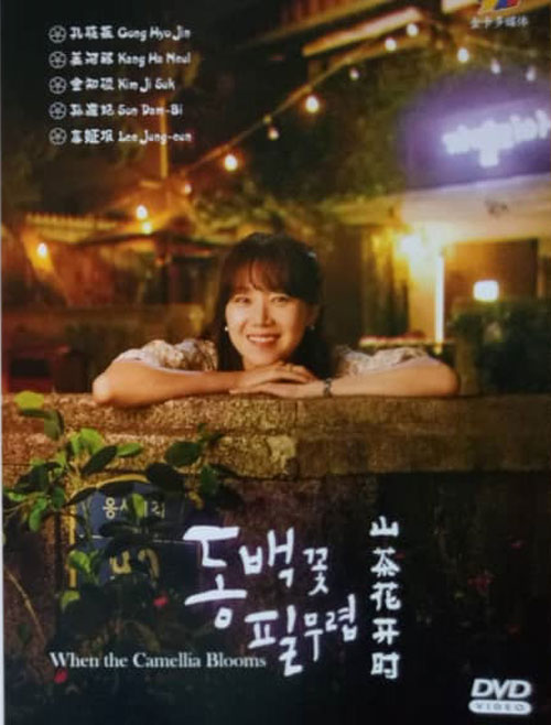 山茶花开时 (DVD) (2019) 韩剧