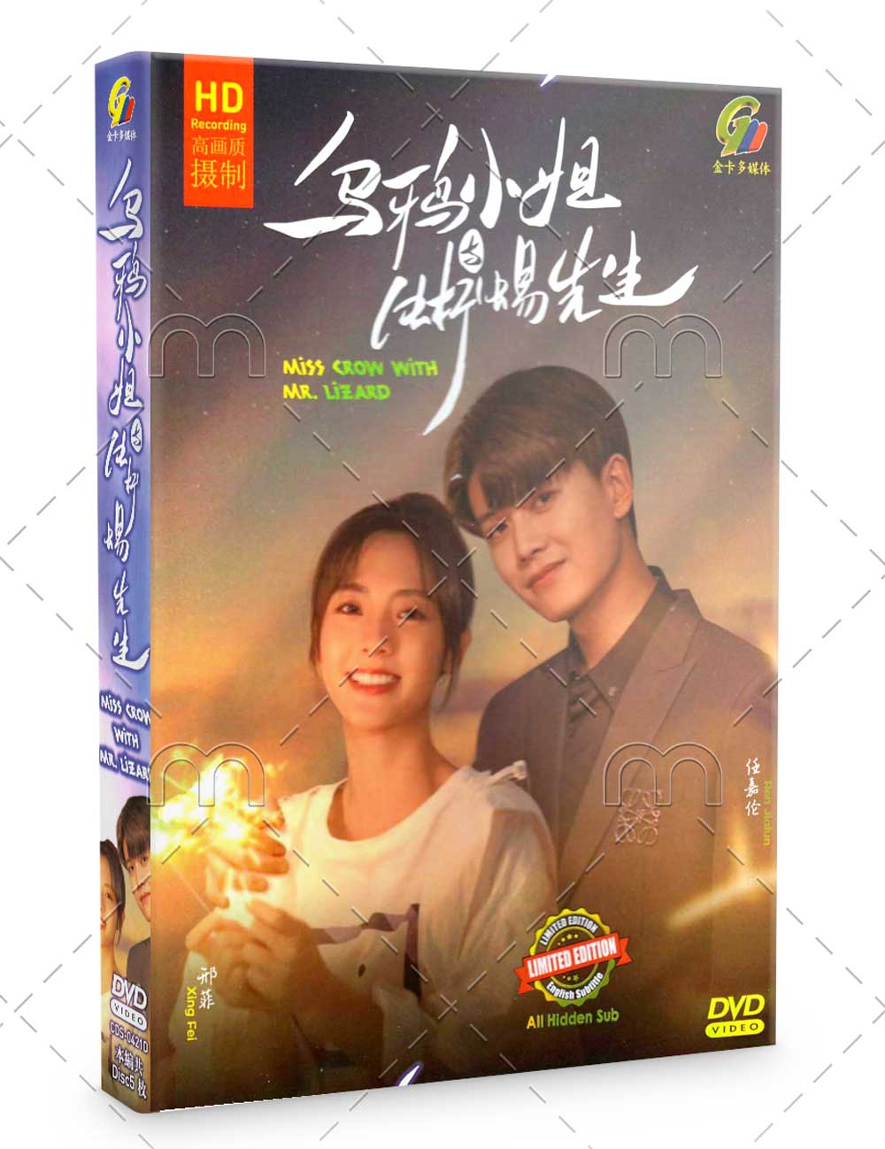 Miss Crow with Mr. Lizard (DVD) (2021) China TV Series