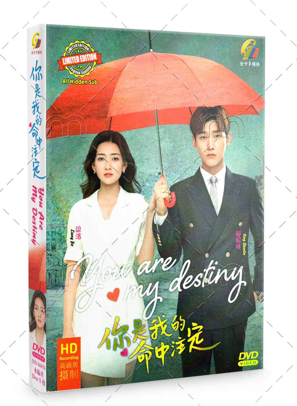You Are My Destiny (DVD) (2020) China TV Series