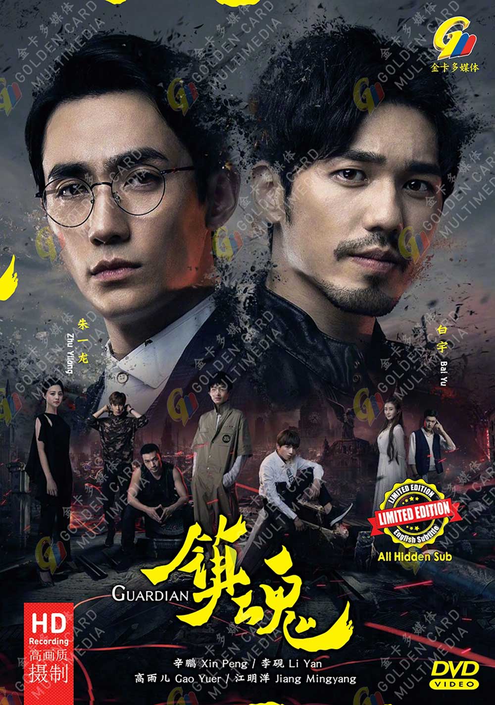 Guardian (DVD) (2018) 中国TVドラマ
