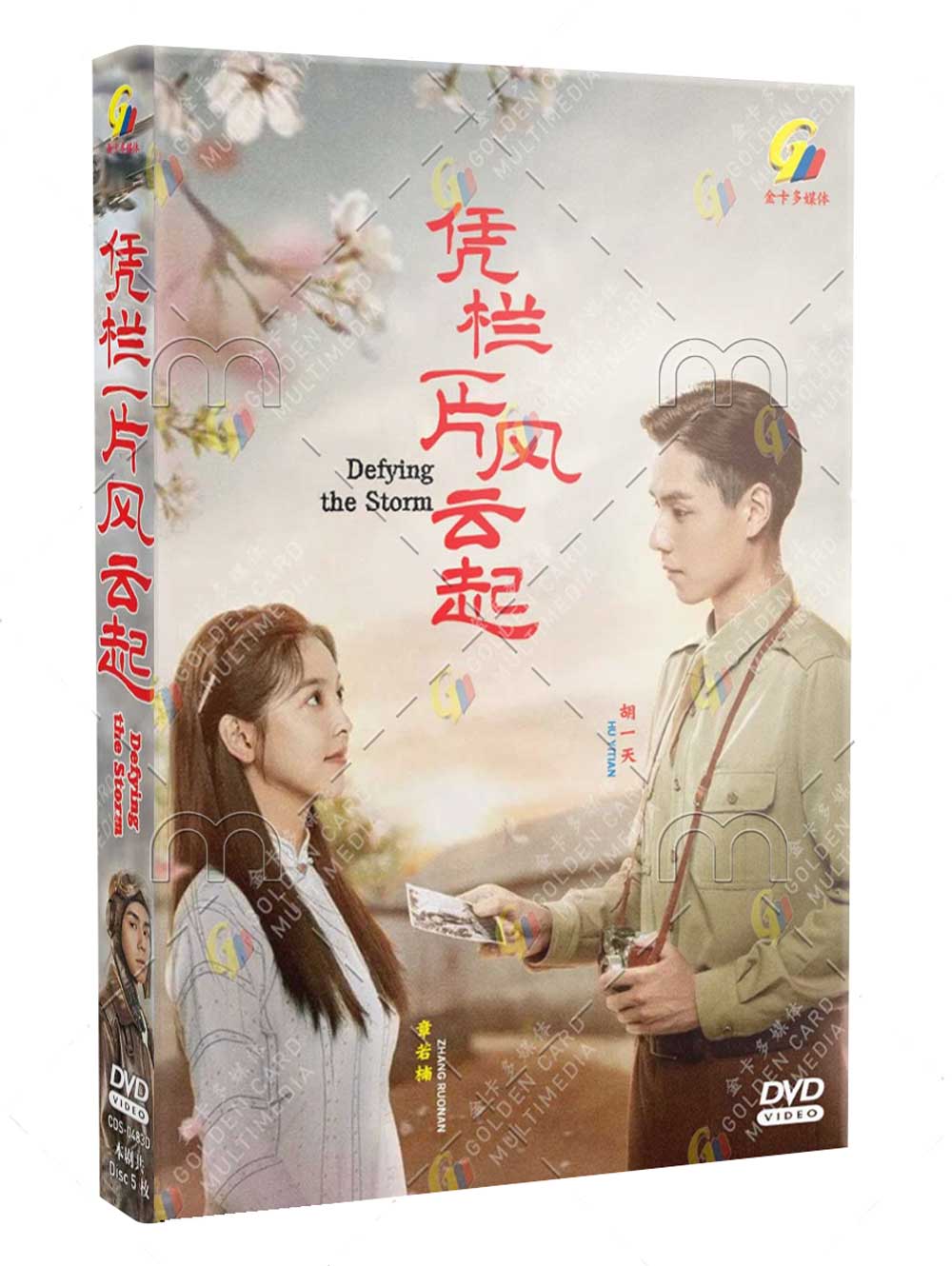 Defying the Storm (DVD) (2022) China TV Series