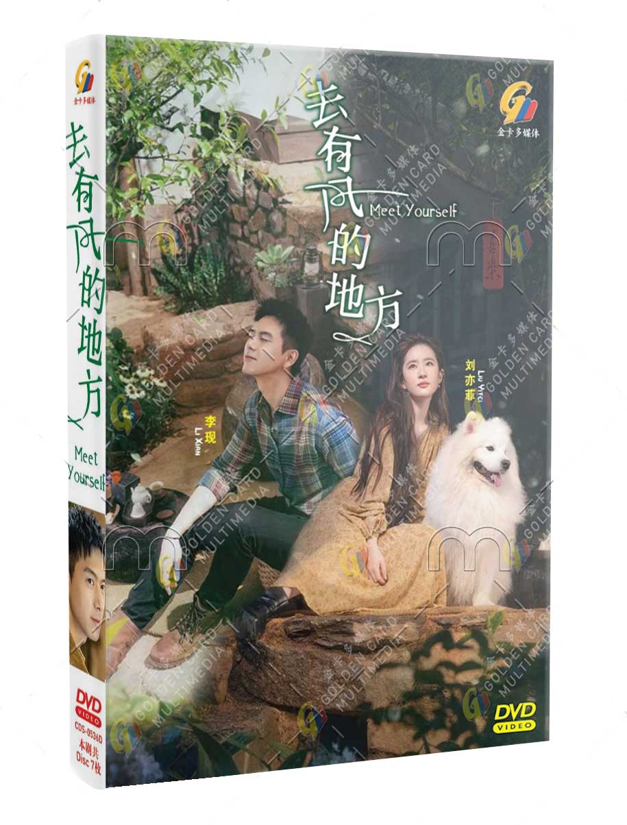 去有風的地方 (DVD) (2023) 大陸劇
