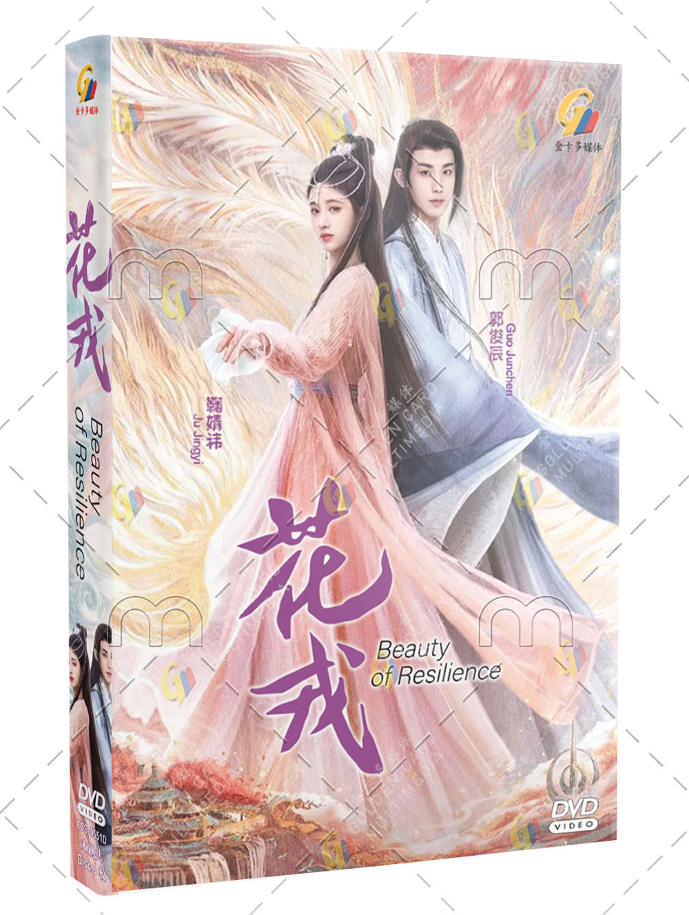 Beauty of Resilience (DVD) (2023) China TV Series