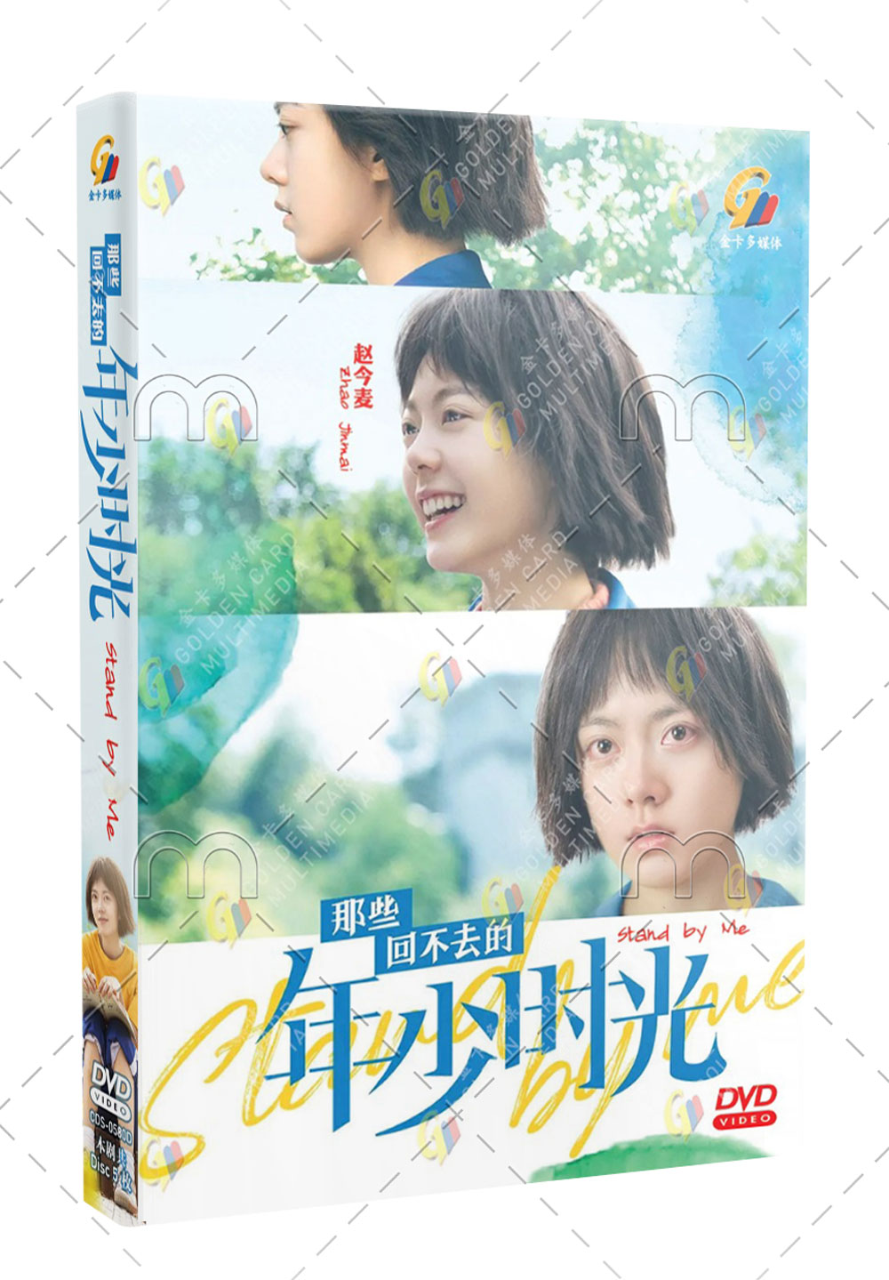 Stand by Me (DVD) (2023) China TV Series