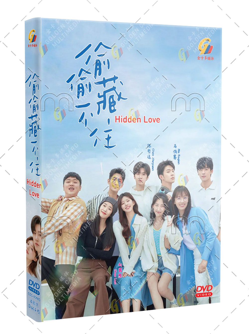 Hidden Love (DVD) (2023) China TV Series