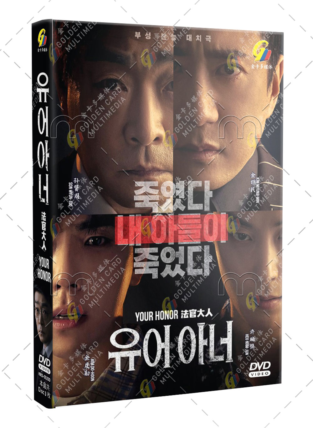 Your Honor (DVD) (2024) Korean TV Series