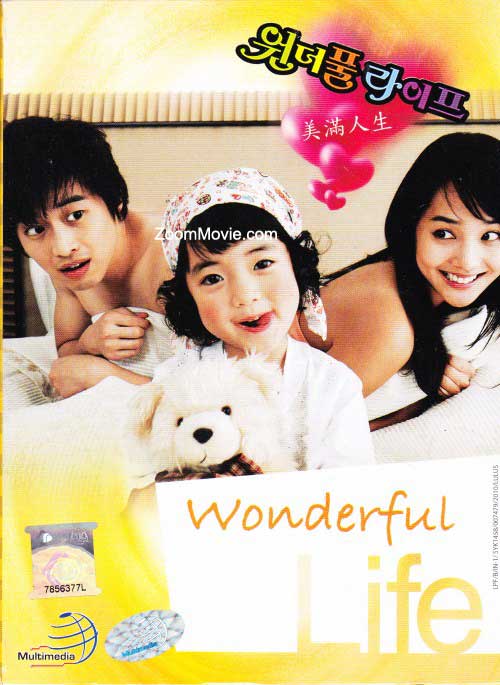 Wonderful Life Complete TV Series (DVD) (2005) 韩剧