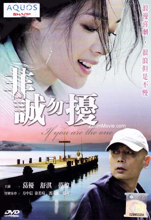 If You Are the One (DVD) (2009) 中国映画