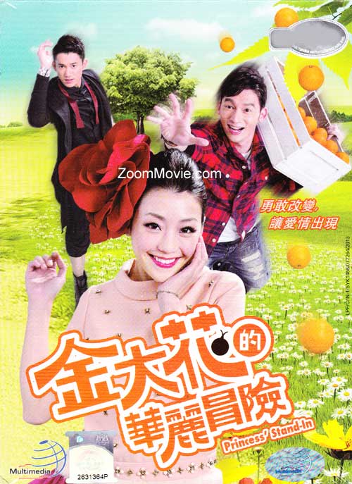 金大花的华丽冒险 (DVD) (2013) 台剧