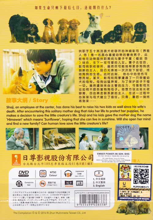 7 Days of Himawari & Her Puppies image 2