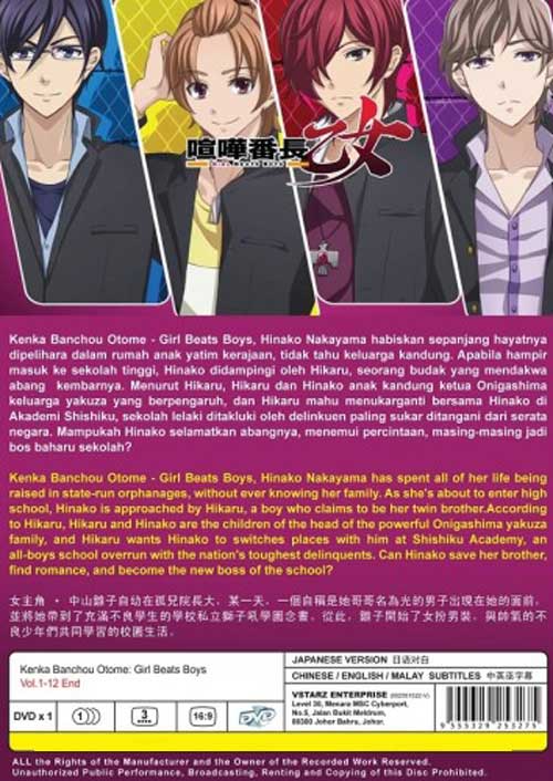 喧嘩番長 乙女 image 2