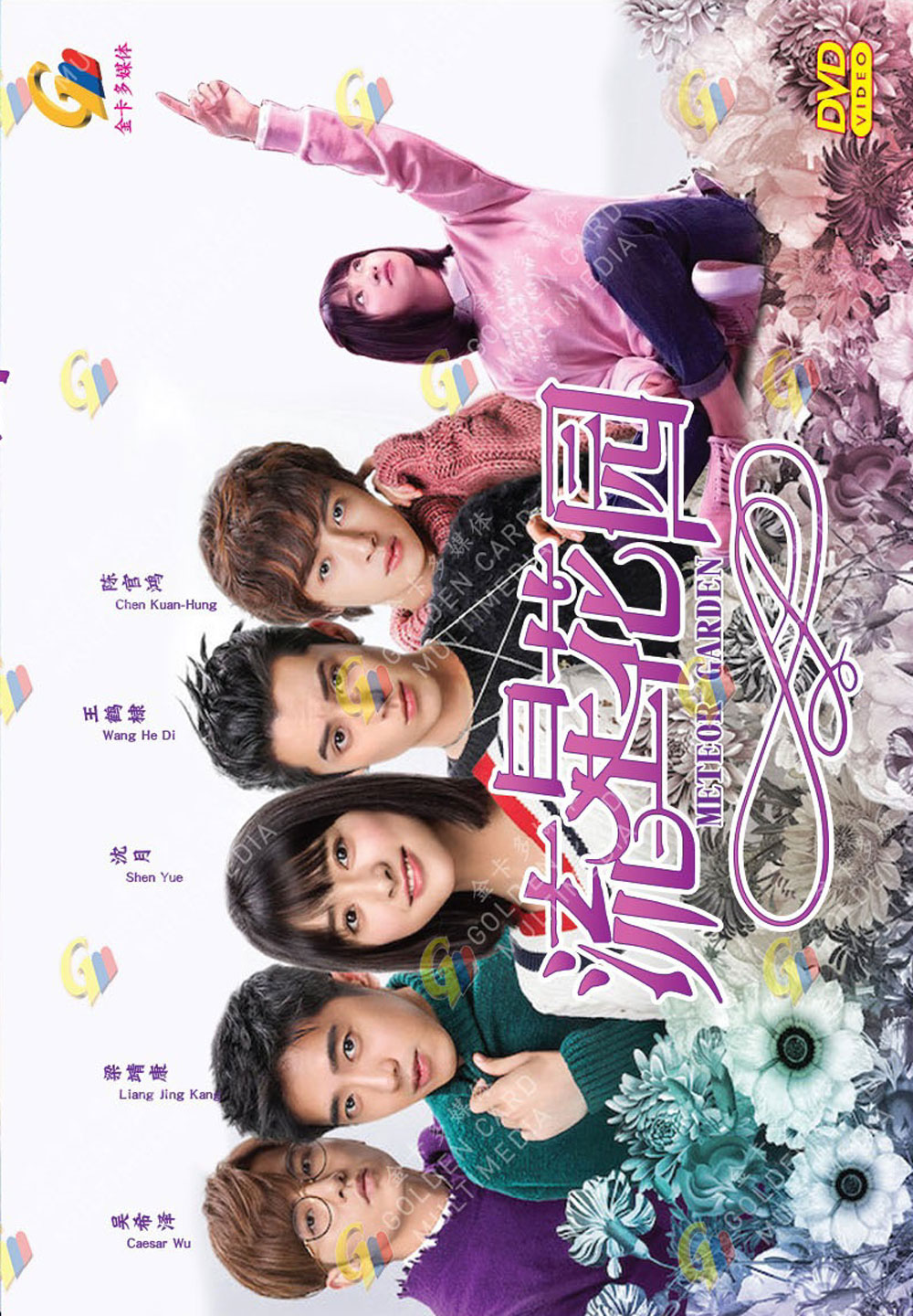 Meteor Garden 2018 (DVD) (2018) China TV Series Ep 150 end (English Sub)