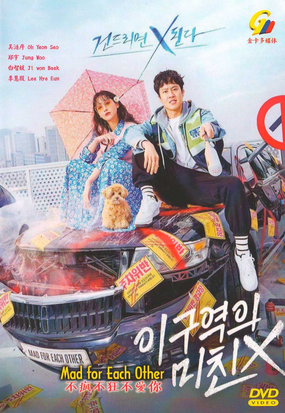 不瘋不狂不愛你 image 2