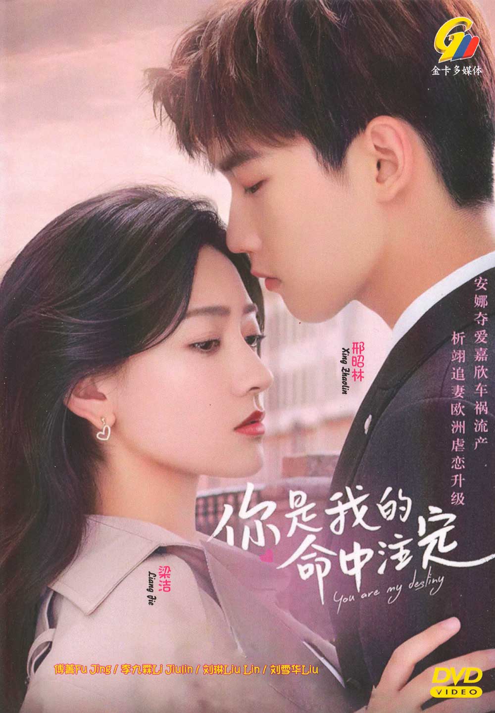 You Are My Destiny image 2