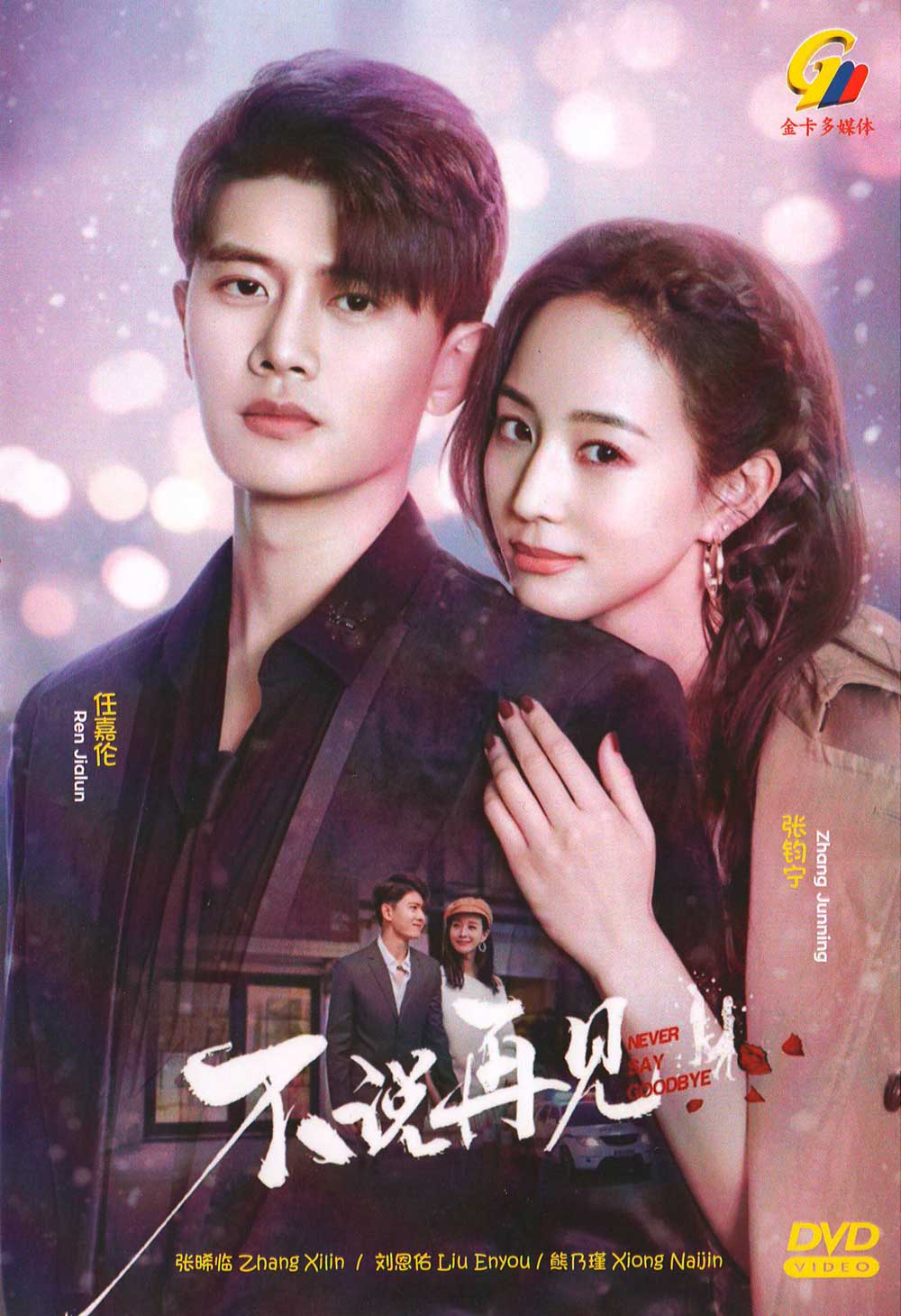 不說再見 image 2