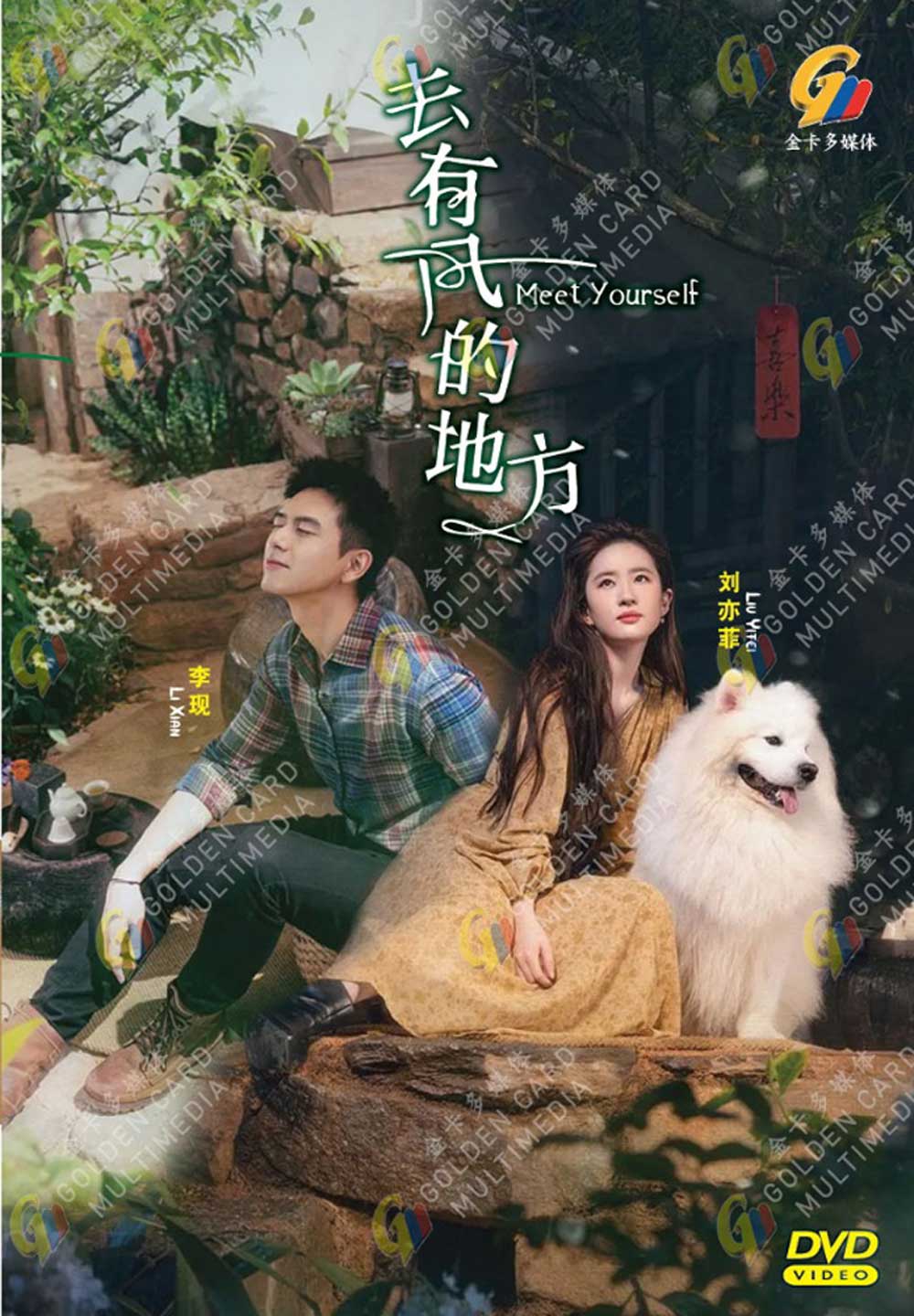 去有风的地方 image 2