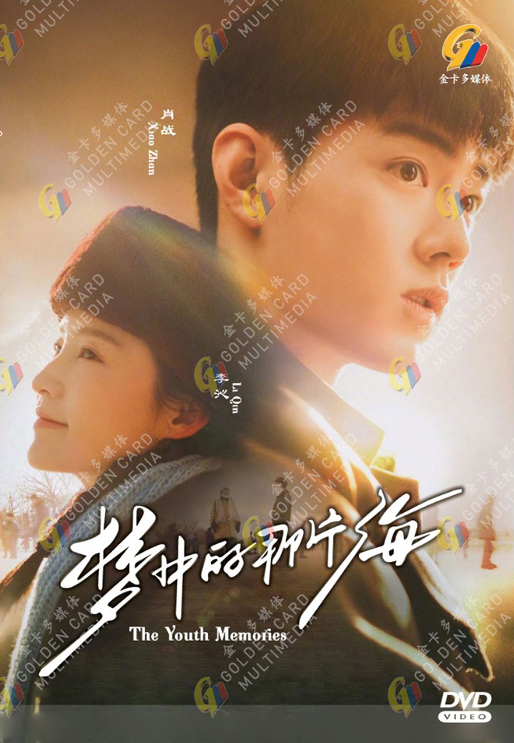 The Youth Memories image 2