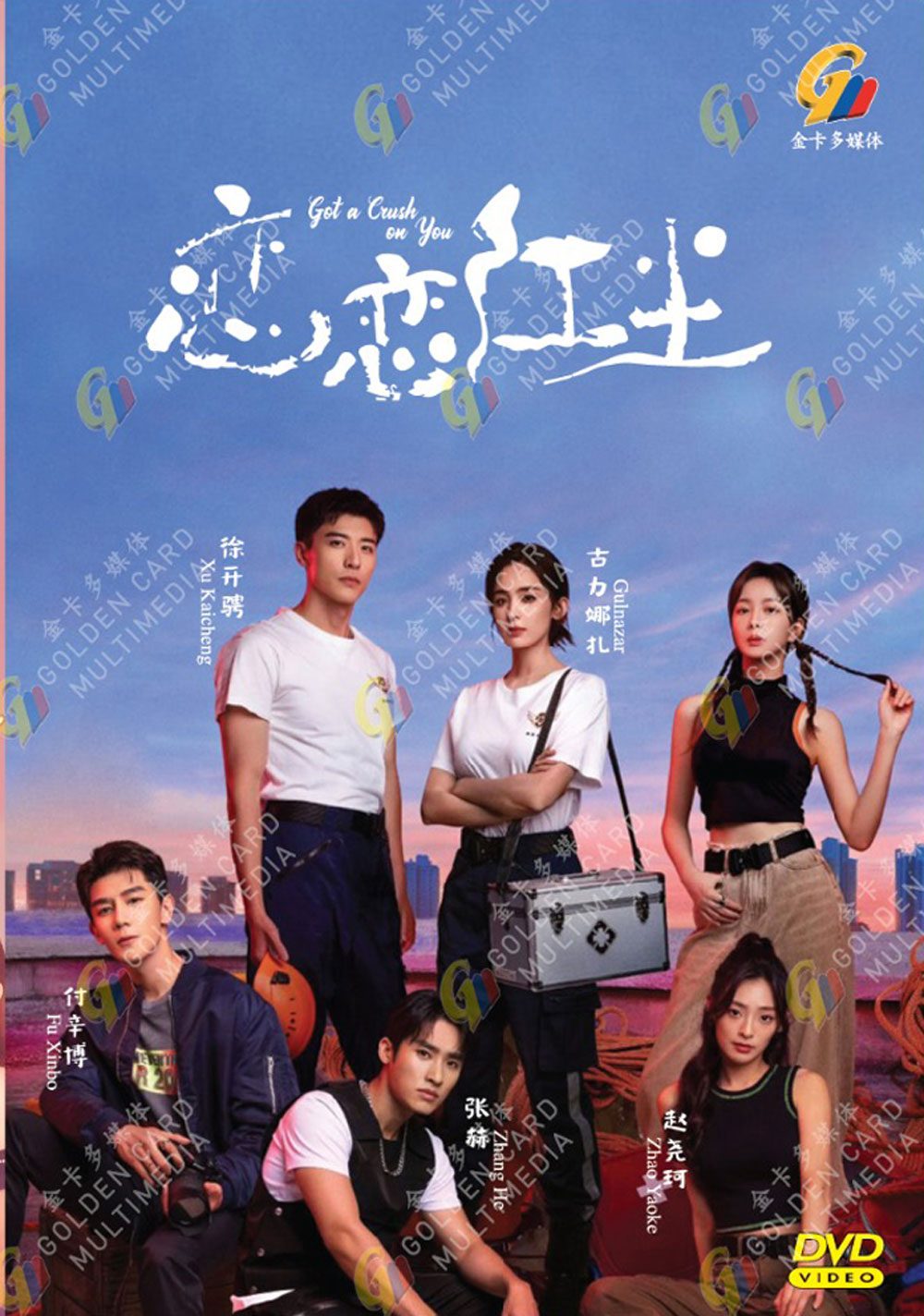 Got a Crush on You image 2