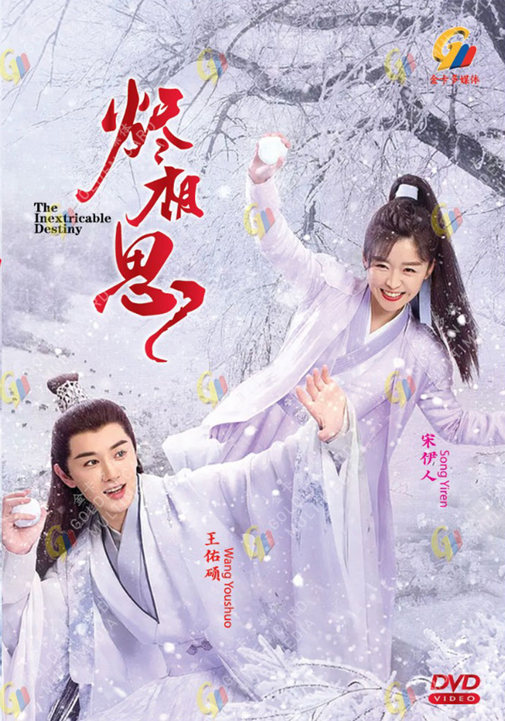 The Inextricable Destiny image 2