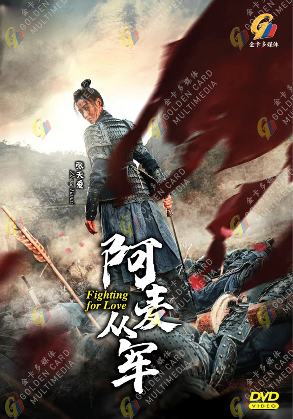 阿麥從軍 image 2