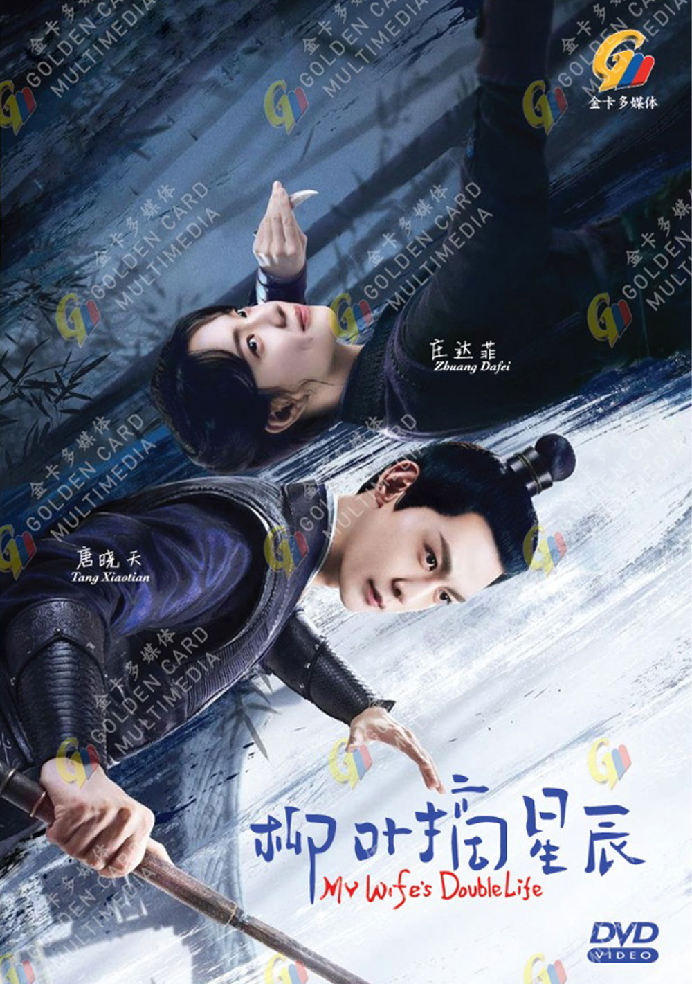 柳叶摘星辰 image 2