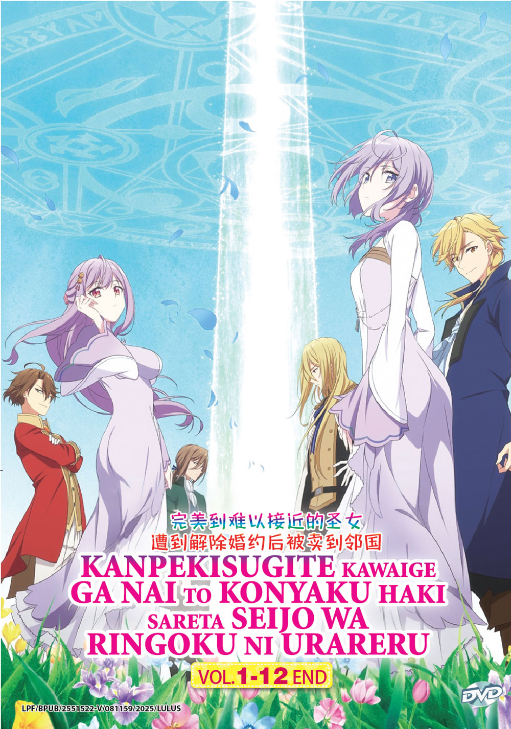 完美到難以親近的聖女遭到解除婚約後被賣到鄰國 image 2