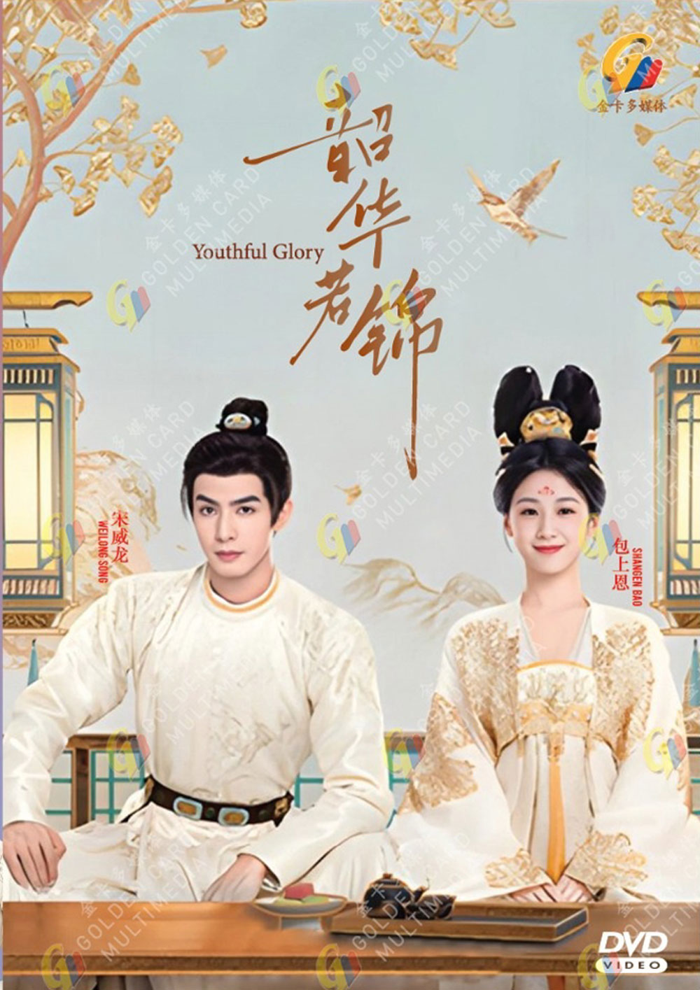 韶华若锦 image 2