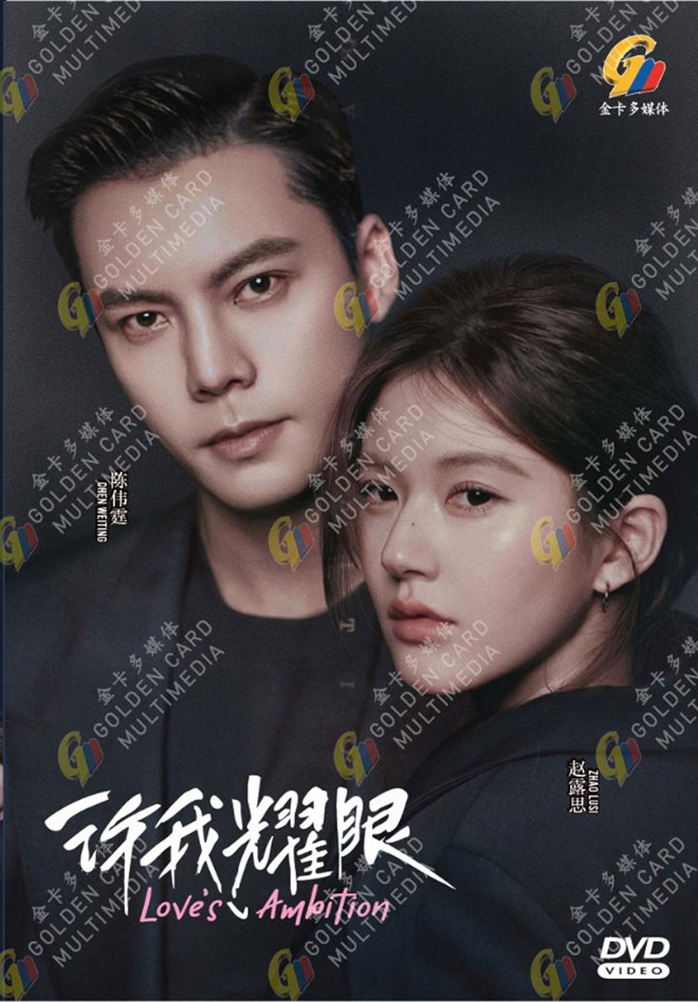 許我耀眼 image 2