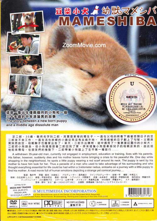 幼獸マメシバ image 2