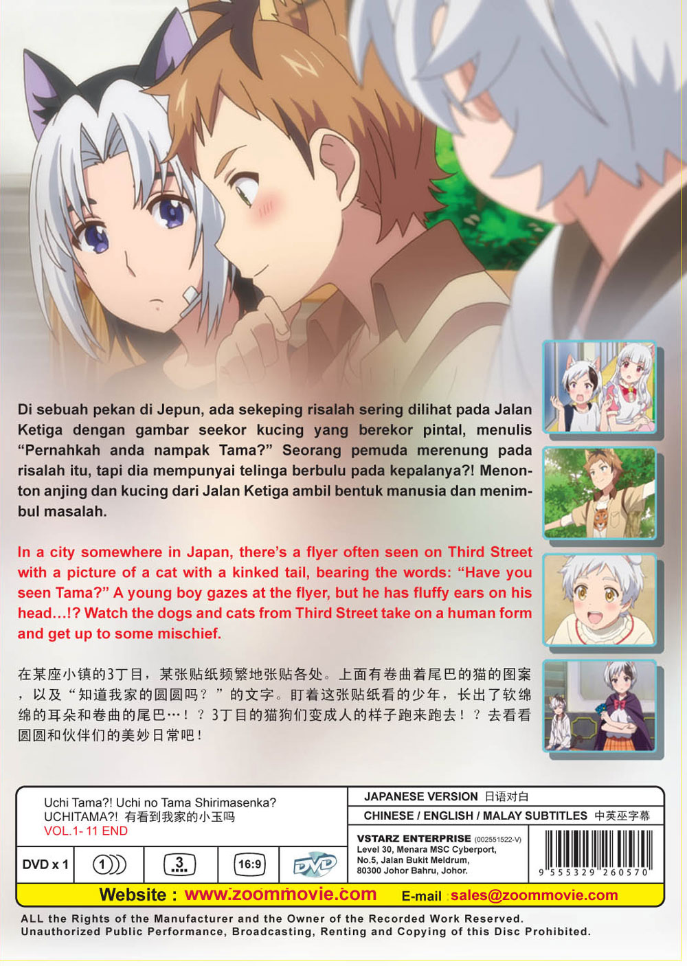 うちタマ うちのタマ知りませんか Dvd アニメ 全1 11話 うちタマ うちのタマ知りませんか Dvd アニメ 全1 11話