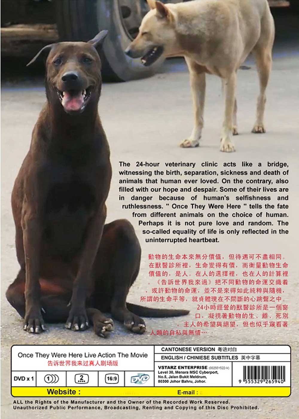 告訴世界我來過真人劇場版 image 3